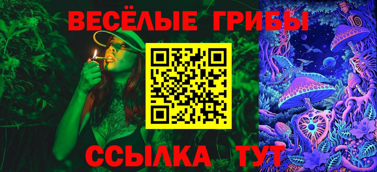 купить наркотики сайты  Псилоцибиновые грибы мухоморы  Вход с VPN  Ступино 