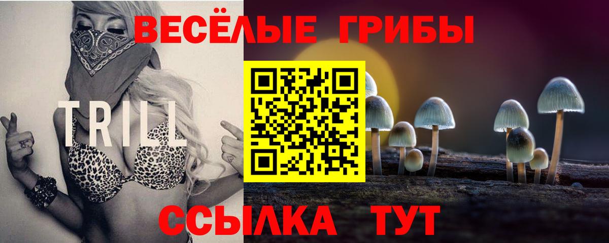 Псилоцибиновые грибы GOLDEN TEACHER Ступино